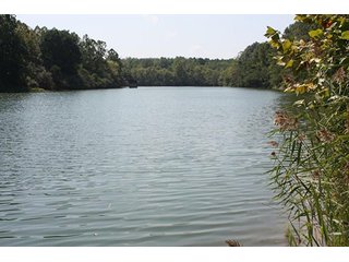 Property photo 55 - 419 +/- Acres offered in 6 Tracts, Land Auction